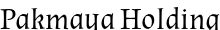 Pakmaya Holding